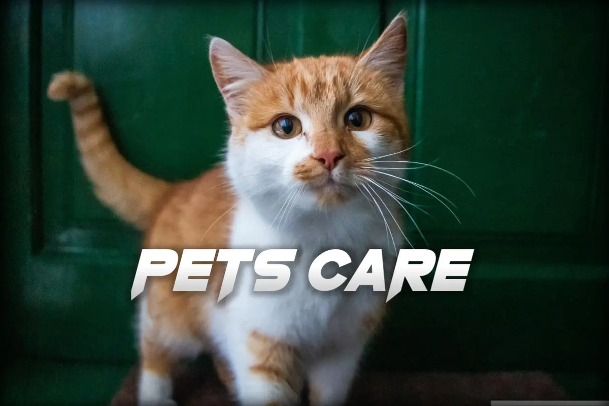 PETS CARE