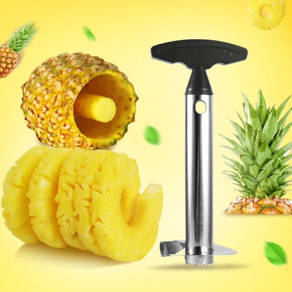 Pineapple Pulp Separator