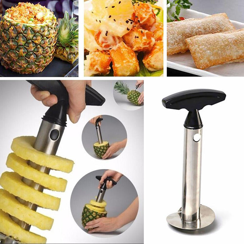 Pineapple Pulp Separator