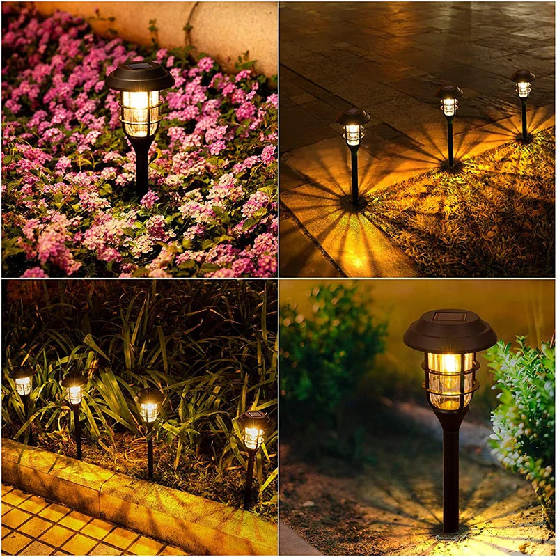 Solar Lawn Lights