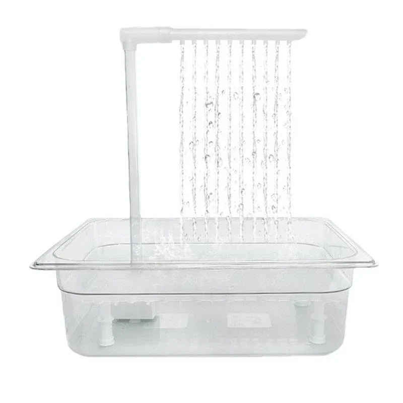 Bird Bathing Shower Box