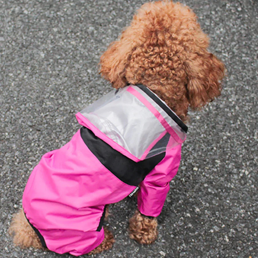 Dogs Jacket