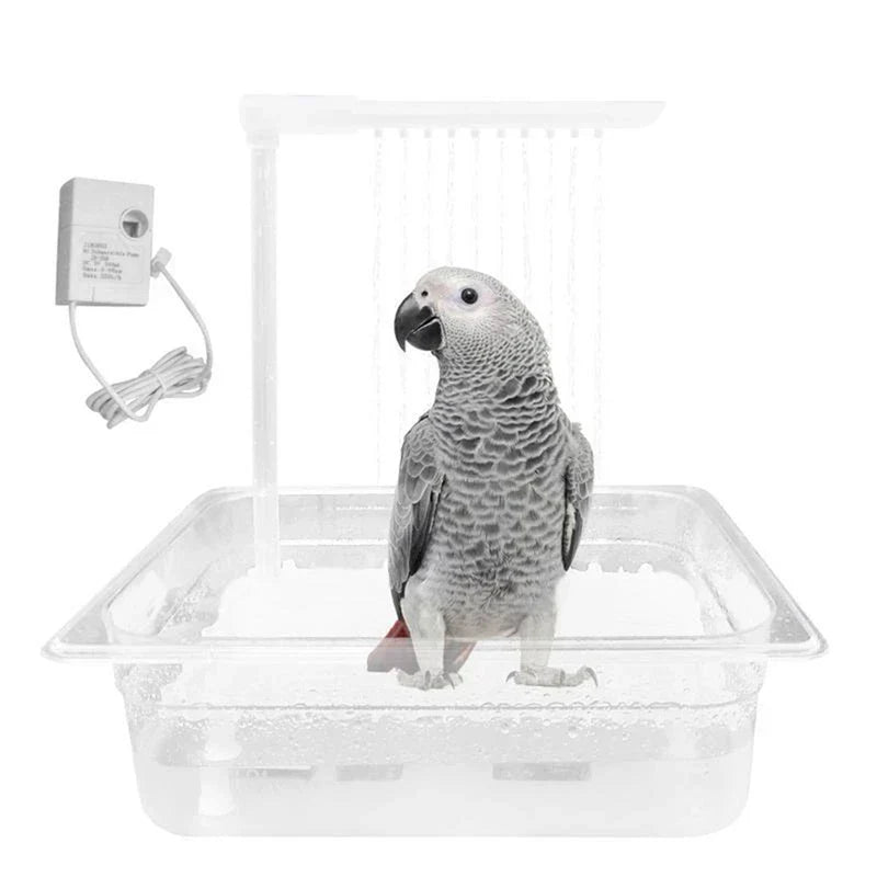 Bird Bathing Shower Box