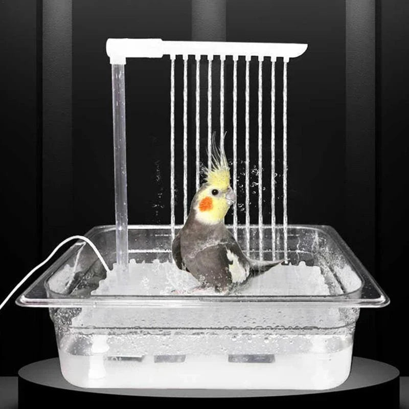 Bird Bathing Shower Box