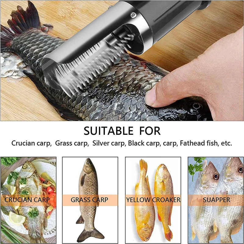 Fish Scraper Remover