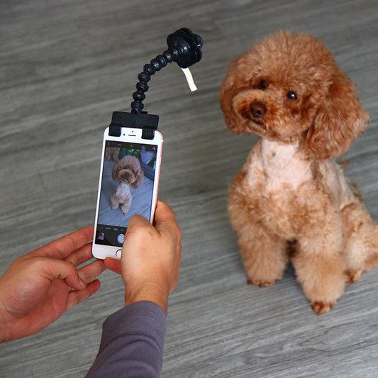 Pet Selfie Stick Artifact