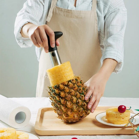 Pineapple Pulp Separator